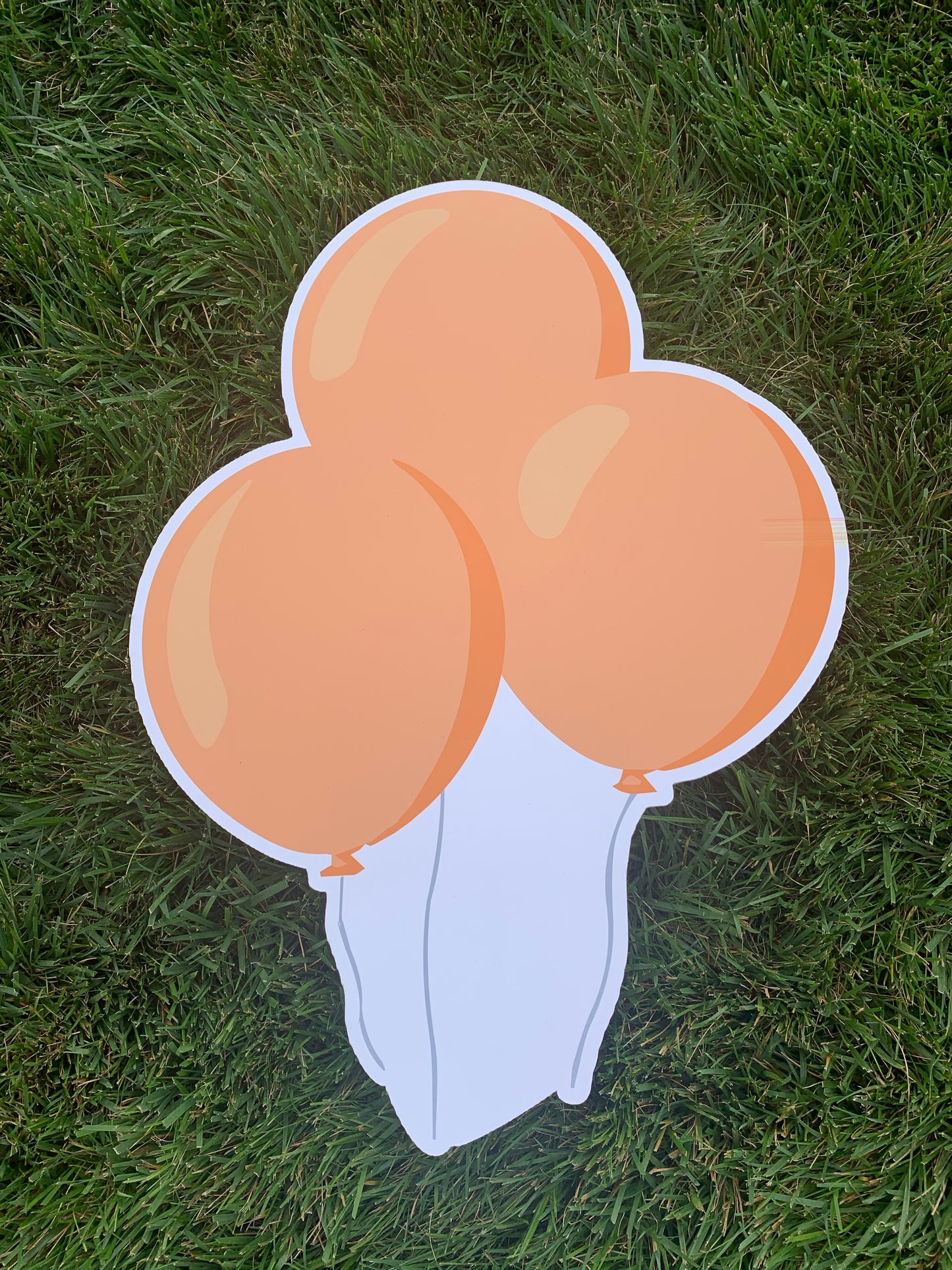 Balloons Kit Add-On