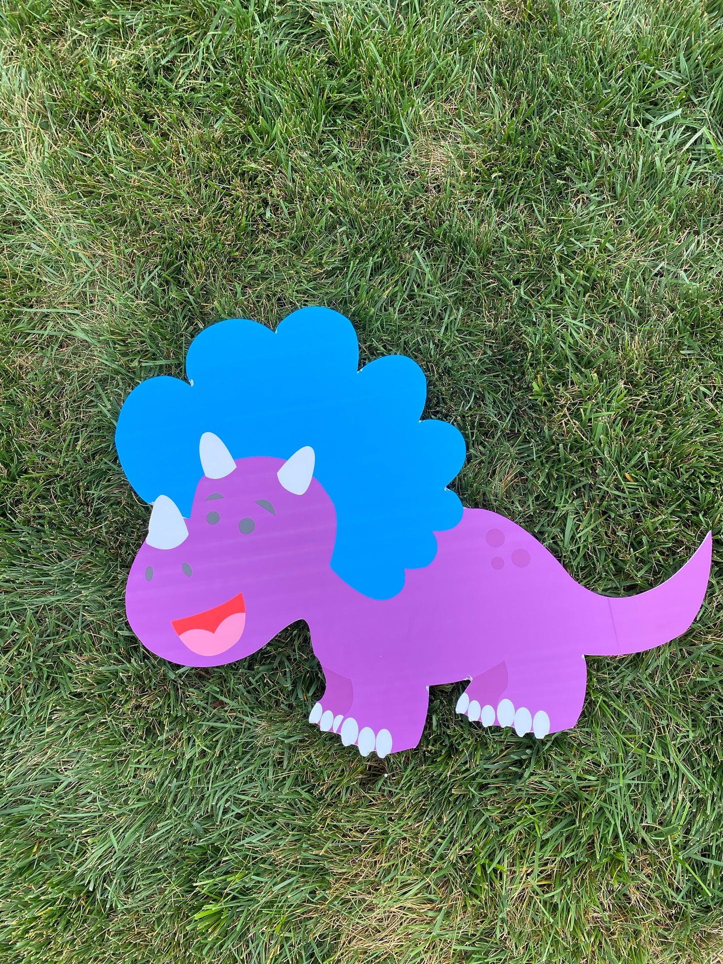 Large Dino-Mite Kit Celebrator Kit