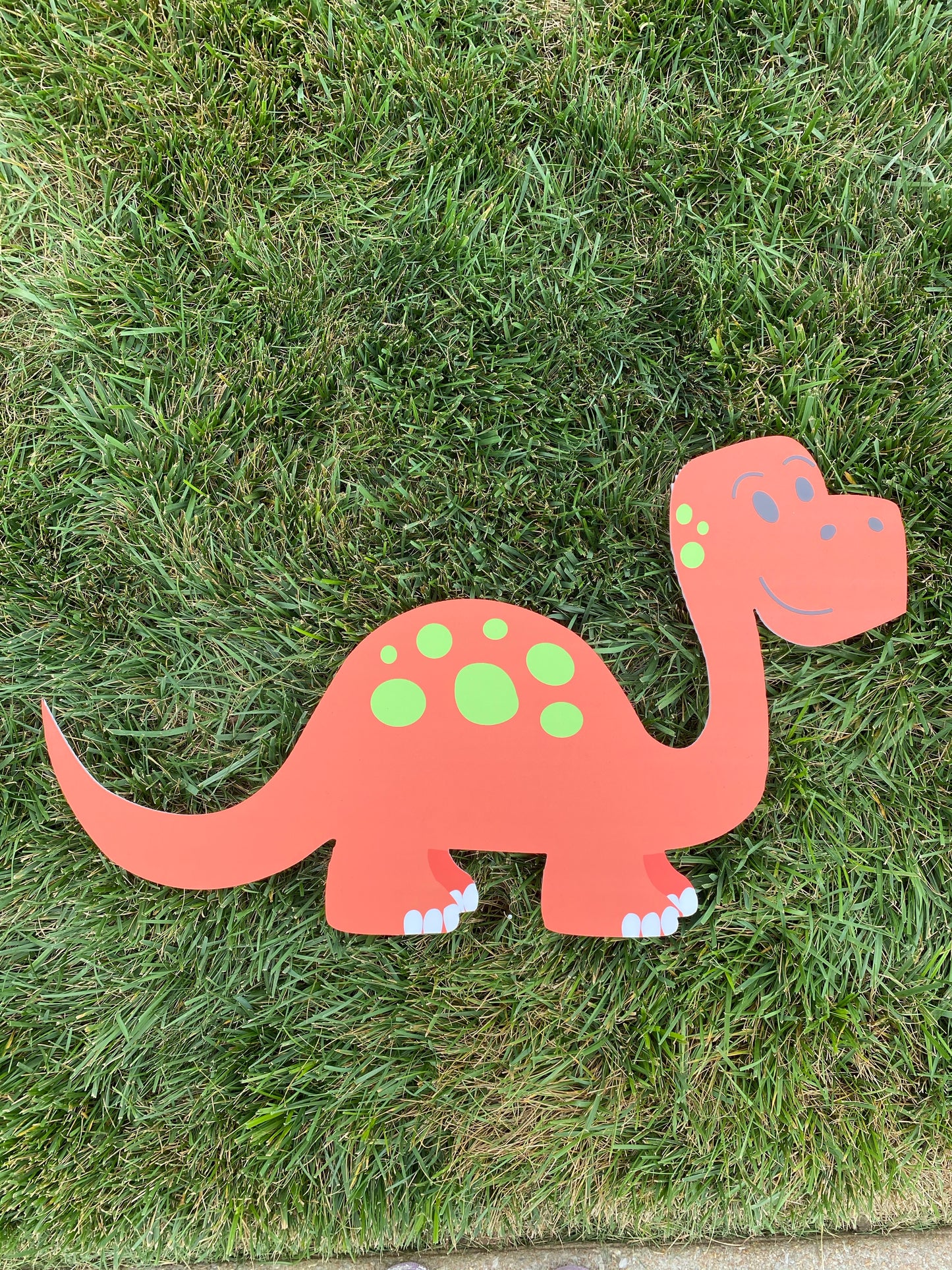 Large Dino-Mite Kit Celebrator Kit