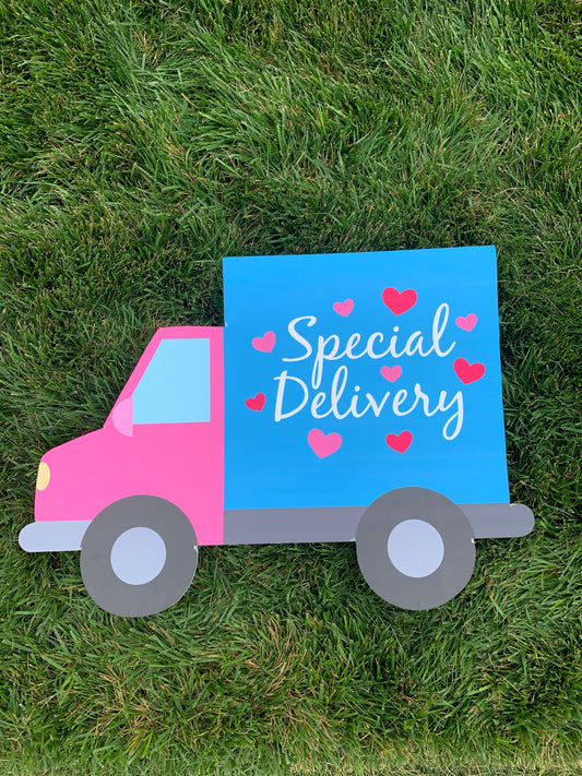 Special Delivery Baby Kit