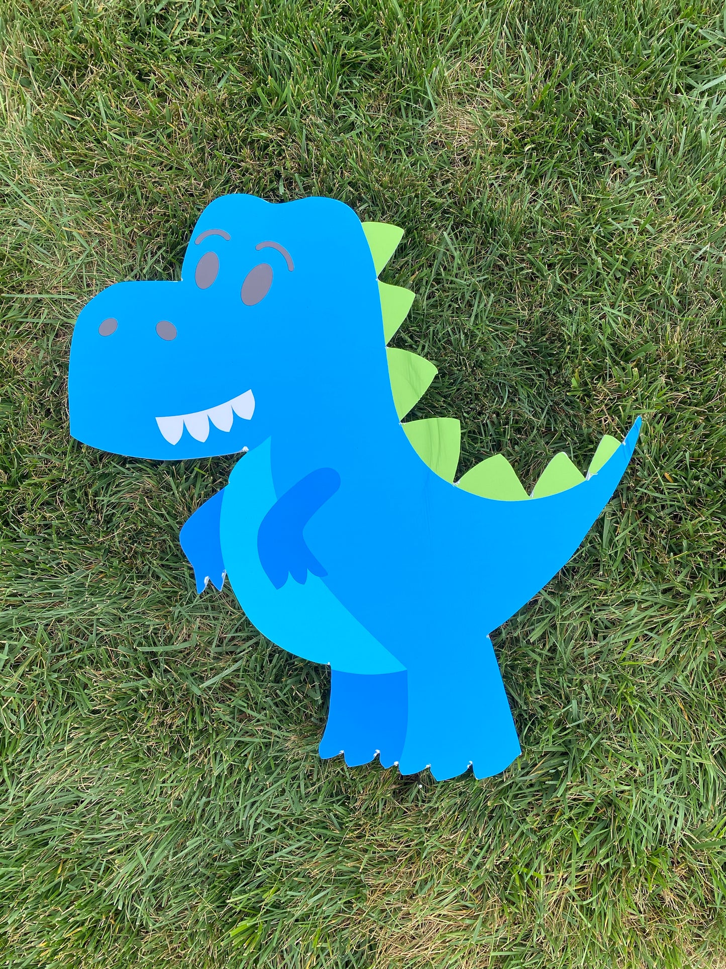 Large Dino-Mite Kit Celebrator Kit