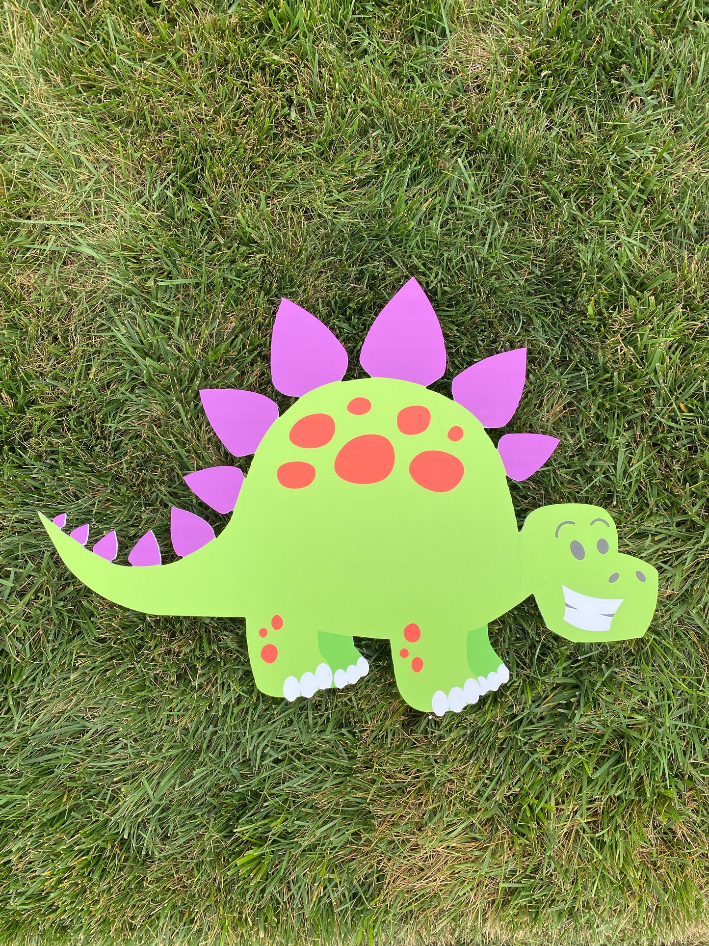 Large Dino-Mite Kit Celebrator Kit